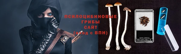 метадон Новозыбков