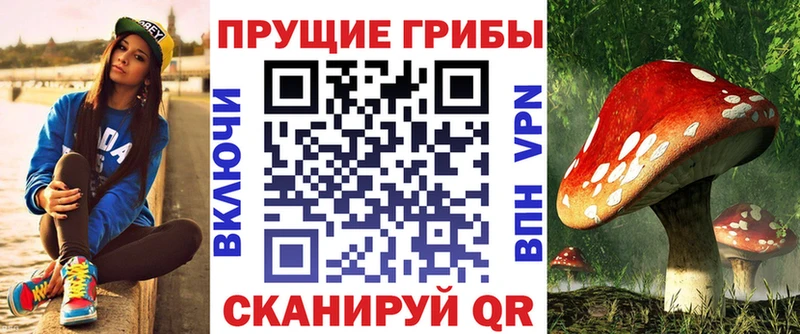 Псилоцибиновые грибы MAGIC MUSHROOMS  купить закладку  Семикаракорск 